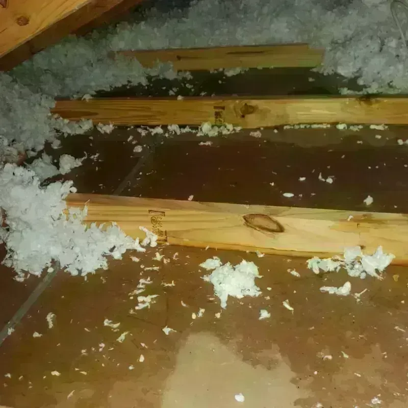 Attic Water Damage in Fannett, TX