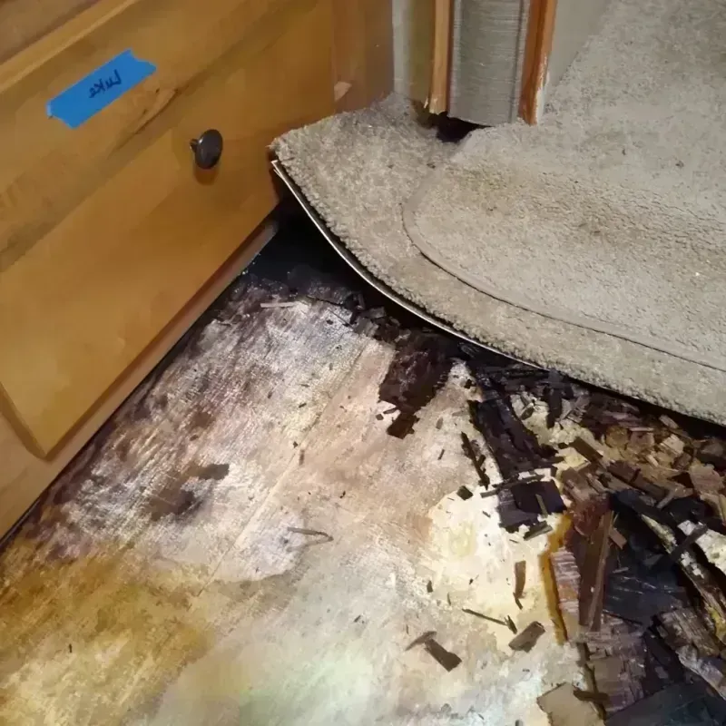 Best Wood Floor Water Damage Service in Fannett, TX